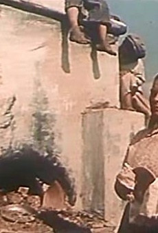 Películas de Lyubov Kalyuzhnaya