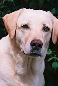 Películas de Madison (2)