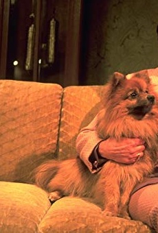 Películas de Maja Stolle