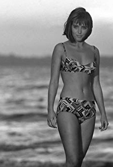 Películas de Maja Wodecka Películas de Maja Wodecka