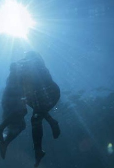 Películas de Mali Matsuda