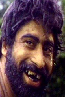 Películas de Manik Irani