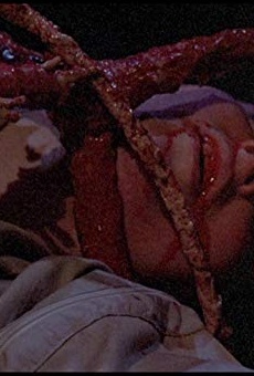 Películas de Marcia Linn