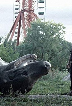 Películas de Marcin Kowalczyk