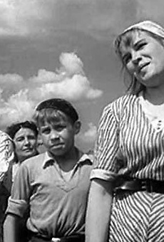 Películas de Margarita Krinitsyna