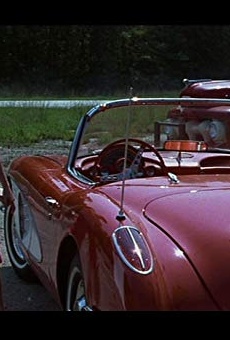 Películas de Marin Kanter