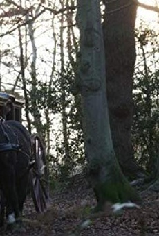 Películas de Marina Fiorato