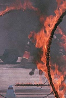 Películas de Mark Lasky