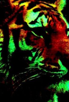 Películas de Mark Nielson