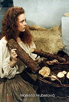 Películas de Markéta Hrubesová