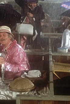 Películas de Marta Heflin Películas de Marta Heflin