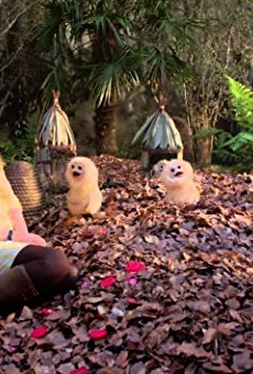 Películas de Martha Howe-Douglas