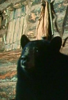 Películas de Martha (2)