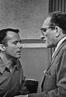 Películas de Martin Brandt