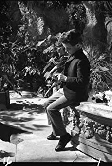 Películas de Martin Stephens