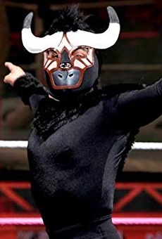 Películas de Mascarita Dorada