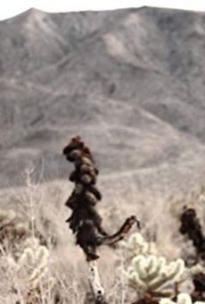 Películas de Mathew Dunlop