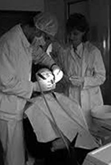 Películas de Matt Orefice