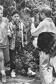 Películas de Matthew Brooks