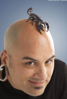 Películas de Matthew Ray Películas de Matthew Ray