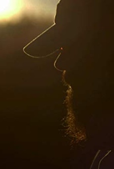 Películas de Matthew Shaw