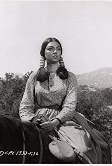 Películas de Maureen Hingert