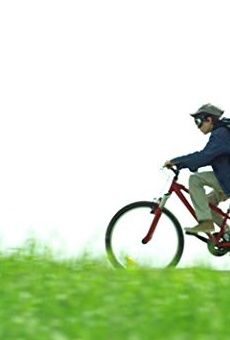 Películas de Max Baissette de Malglaive