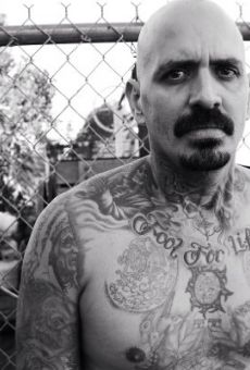 Películas de Michael Flores (3)