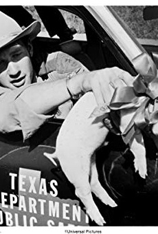 Películas de Michael Sacks