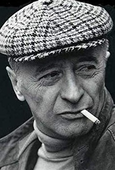 Películas de Michel Audiard