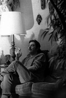 Películas de Miguel Gomes