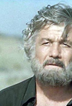 Películas de Mihai Volontir