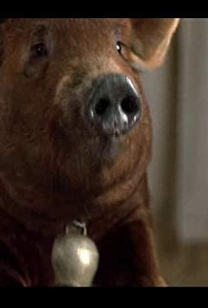 Películas de Misery the Pig