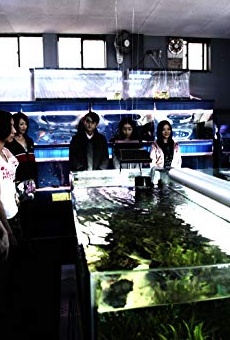 Películas de Mitsuru Fukikoshi