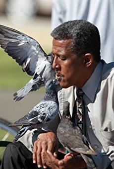 Películas de Myles Cranford