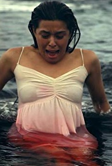 Películas de Nikki Gil