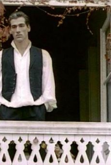 Películas de Niko Tavadze