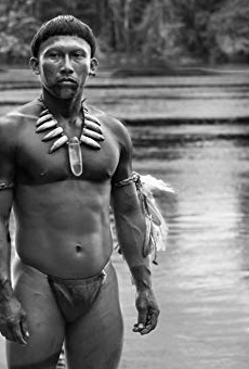 Películas de Nilbio Torres