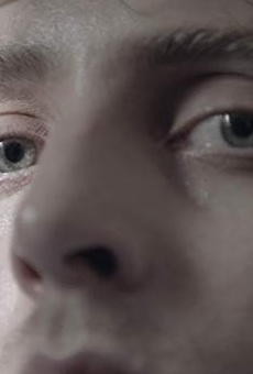 Películas de Noel David Taylor