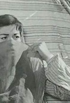 Películas de Nurhan Nur