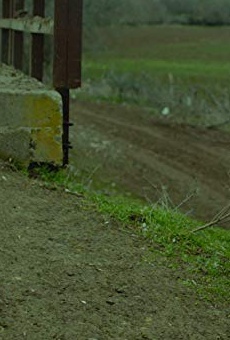 Películas de Okan Avci