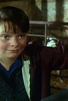 Películas de Oliver Wilson