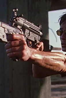 Películas de Olivier Gruner