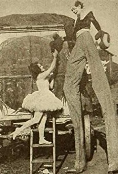 Películas de Ora Carew