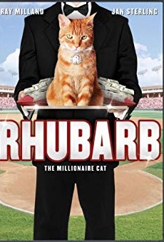 Películas de Orangey