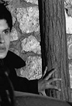 Películas de Orfeas Avgoustidis