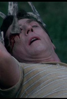 Películas de Patrick Farrelly