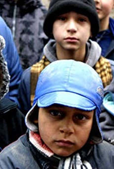 Películas de Patrik Zigo