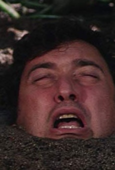 Películas de Paul Avery