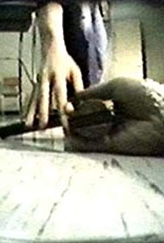 Películas de Paul Brown